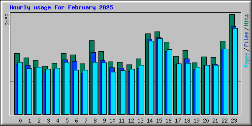 Hourly usage for February 2025