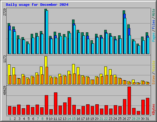 Daily usage for December 2024