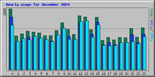 Hourly usage for December 2024