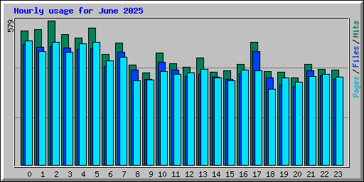 Hourly usage for June 2025