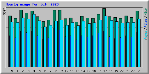 Hourly usage for July 2025