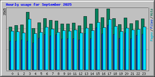 Hourly usage for September 2025