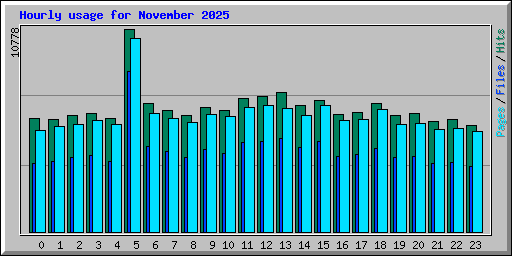 Hourly usage for November 2025