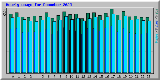 Hourly usage for December 2025