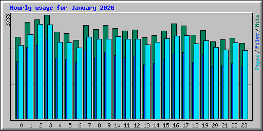 Hourly usage for January 2026
