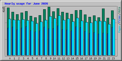 Hourly usage for June 2026